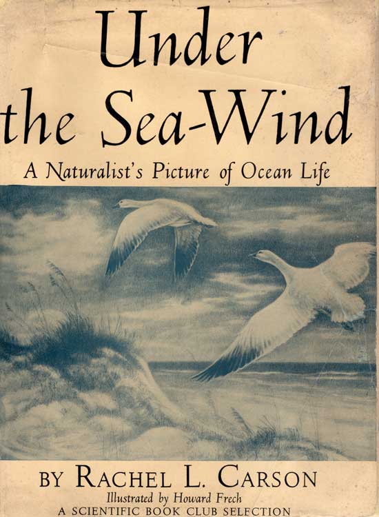 Item #20394 Under The Sea Wind. A Naturalist's Picture Of Ocean Life. RACHEL L. CARSON