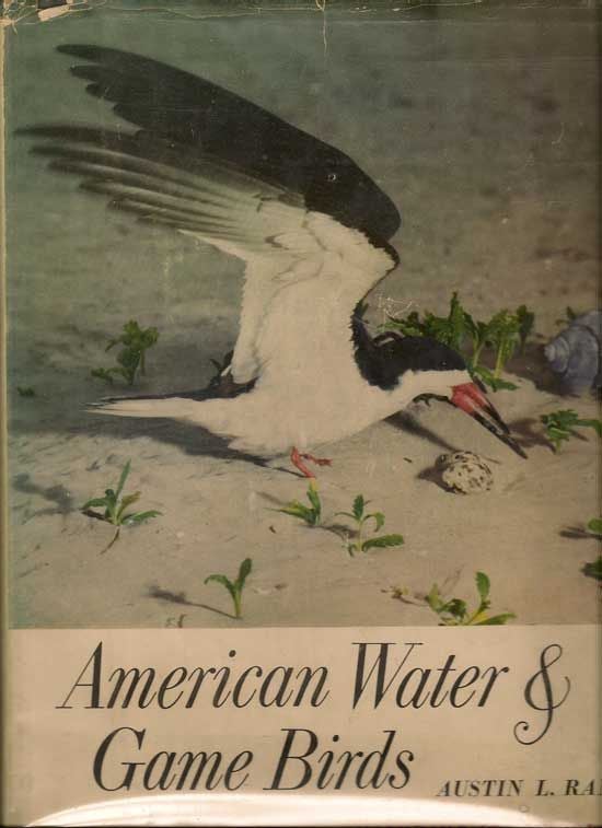 Item #000381 American Water and Game Birds. AUSTIN RAND